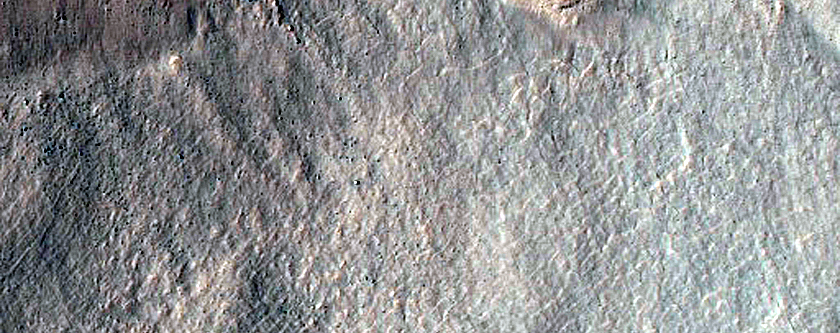 Gully Monitoring