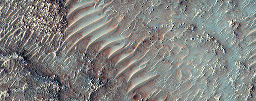 Eroded Floor of Paleolake