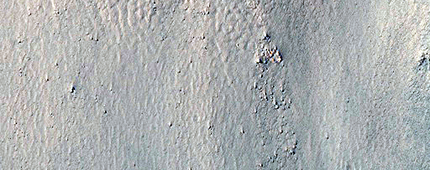 Gully Monitoring