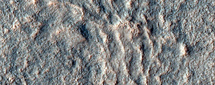 Terrain Sample