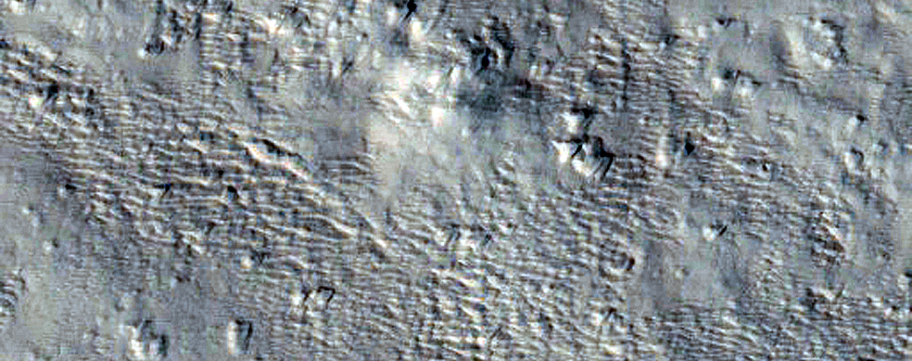Terrain Sample North of Pavonis Mons