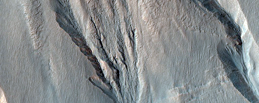 Gully Monitoring