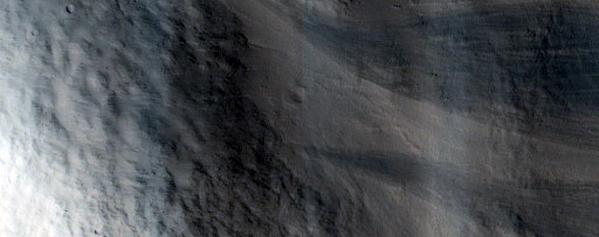 Terrain Sample
