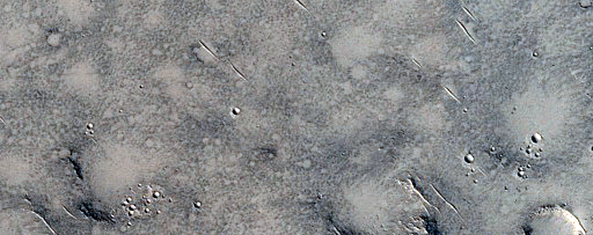 Terrain Sample