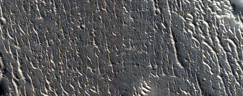Terrain Sample