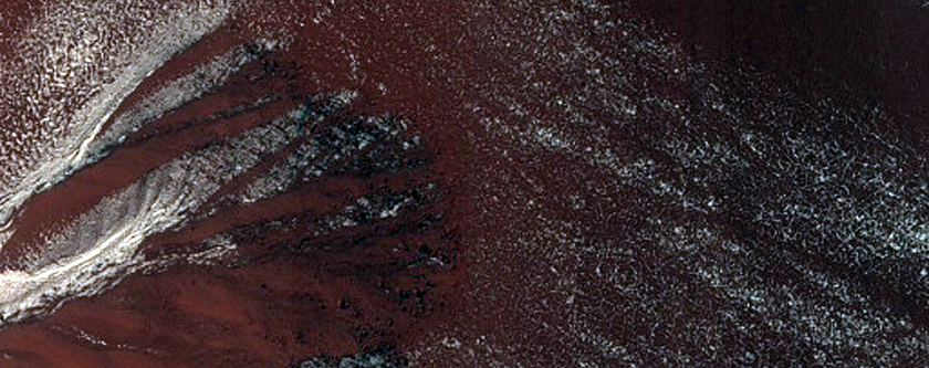 Gully Monitoring