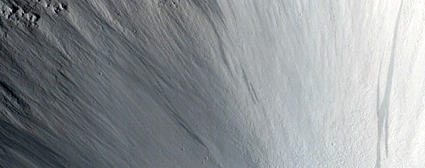 Frost Survey in Steep and Fresh-Looking Crater