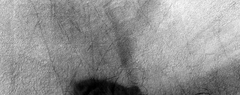 Dune Survey