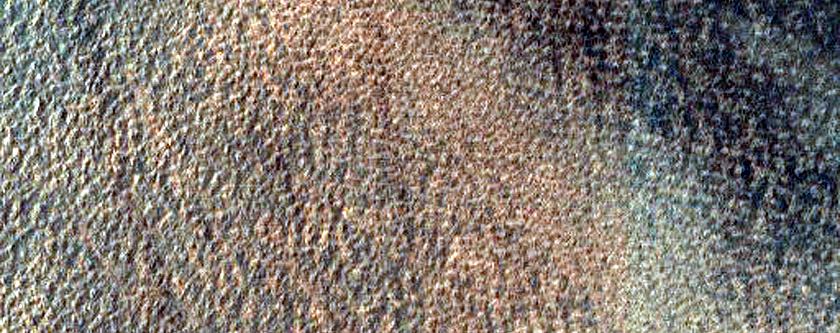 Dune Survey