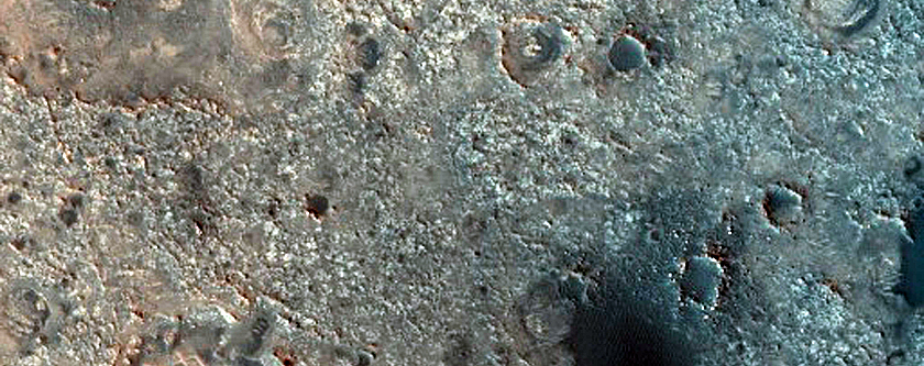 Dune Survey