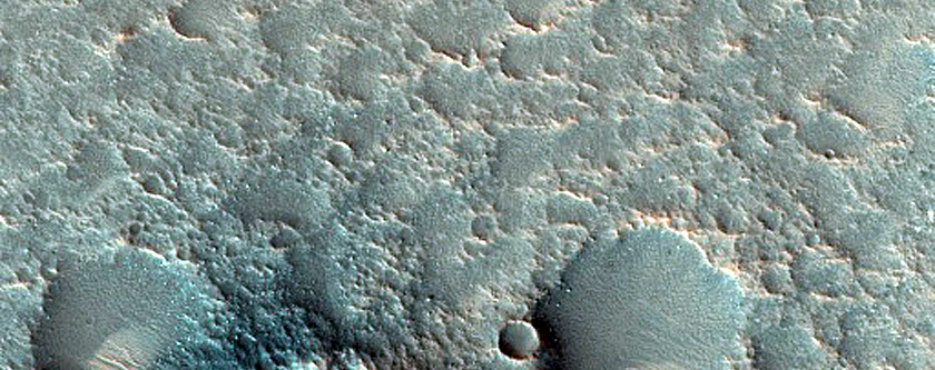 Dune Monitoring