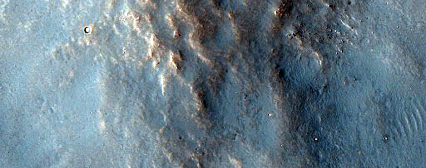 Terrain Sample