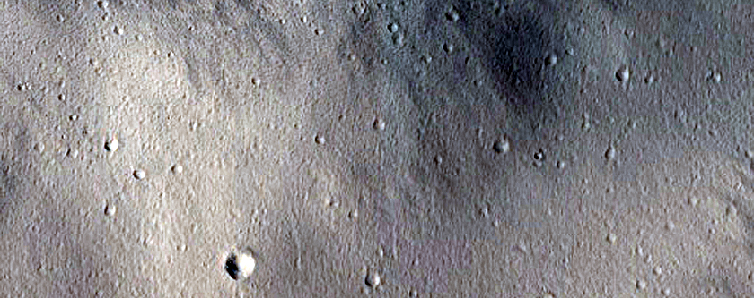 Terrain Sample