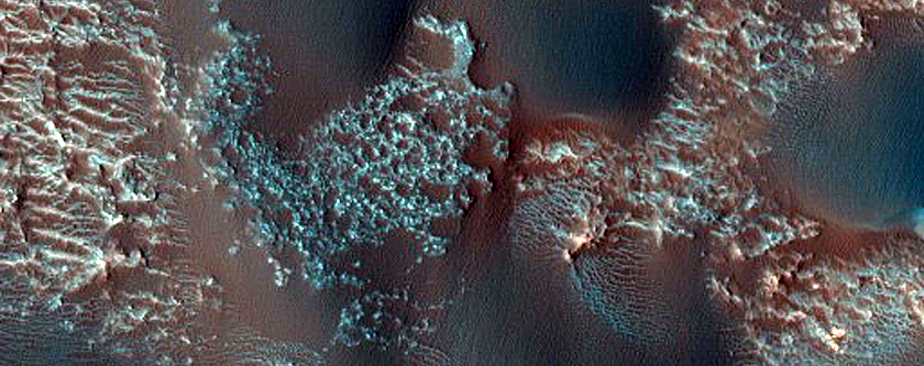 Dune Survey