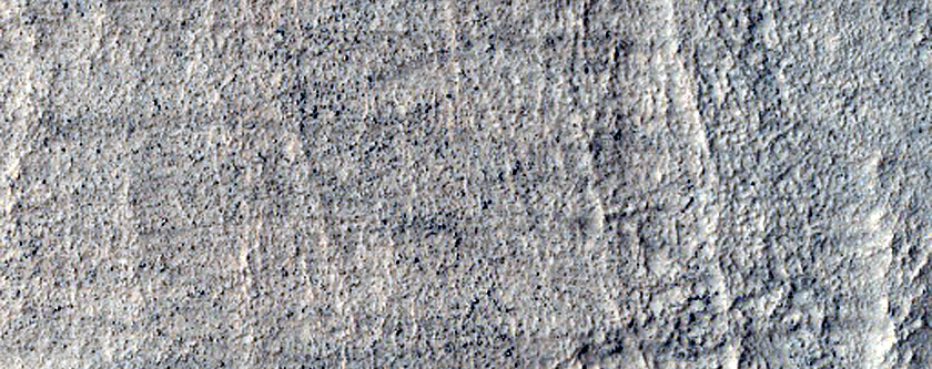 Terrain Sample