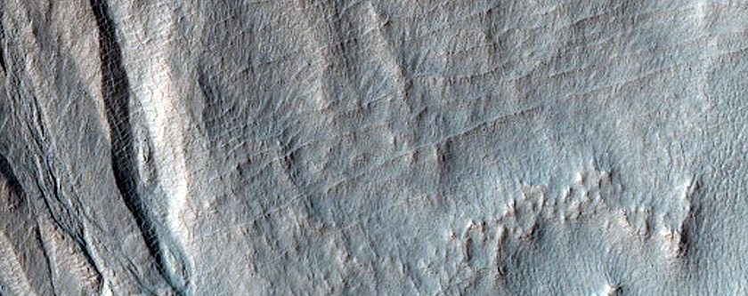 South-Facing Gullies in Mantle Above Concentric Crater Fill