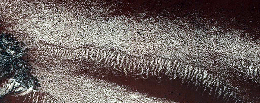Gully Monitoring