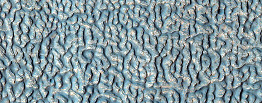Ice-Rich Crater Fill