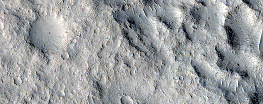 Terrain Sample