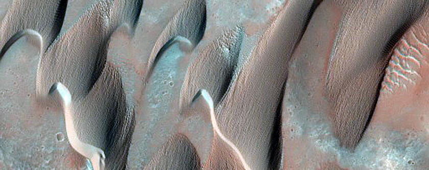 Herschel Crater East Dune Monitoring