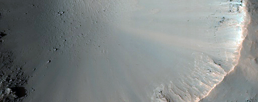 Terrain Sample