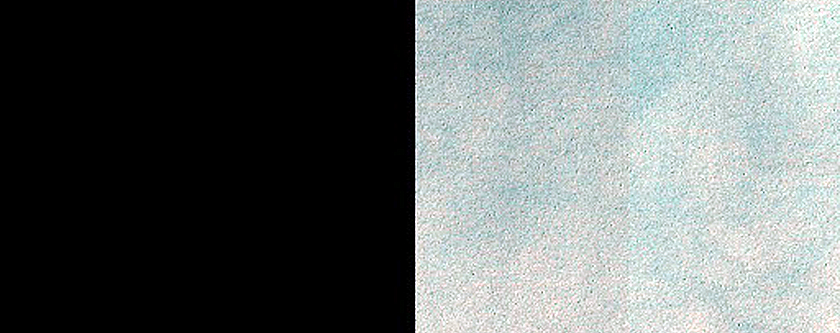 Dune Survey
