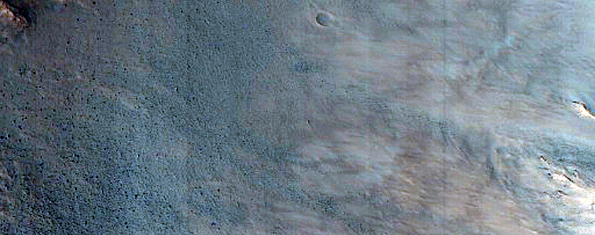 Gully Monitoring