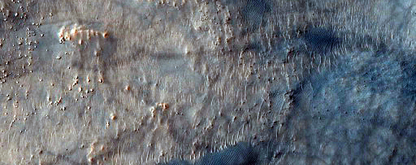 Dune Survey