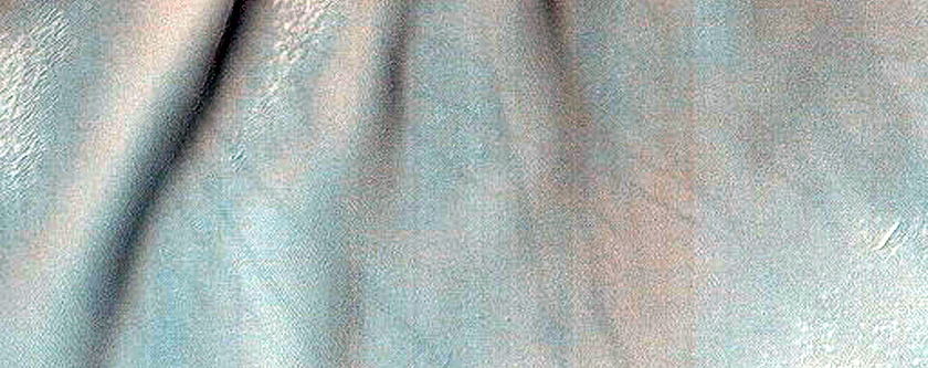 Dune Survey
