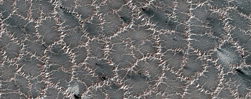 South Polar Residual Cap Site