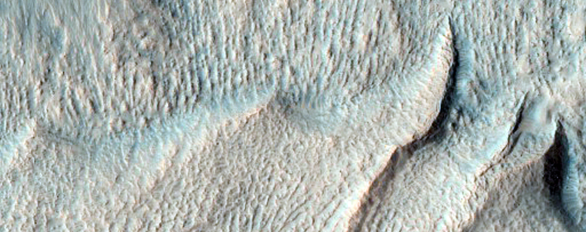Active Gullies
