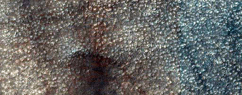 Dune Survey
