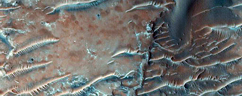 Dune Survey