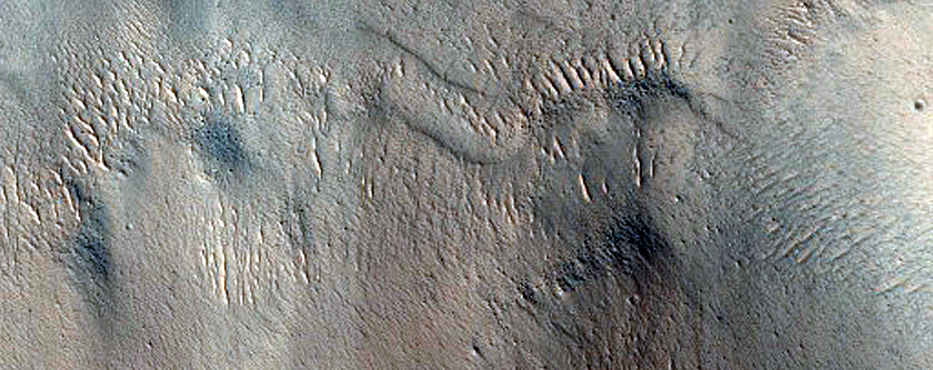 Contact in Southern Isidis Planitia