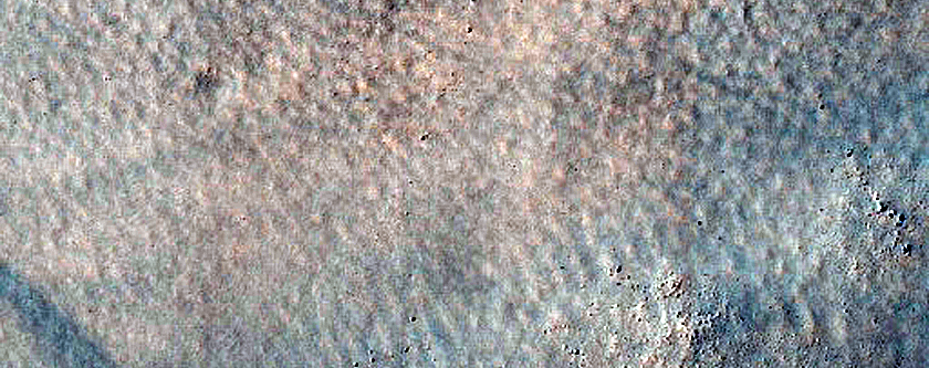 Terrain Sample