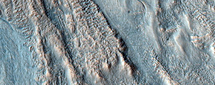 Gully Monitoring
