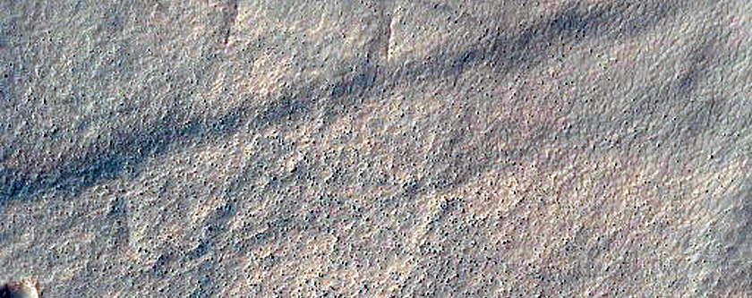 Gully Monitoring