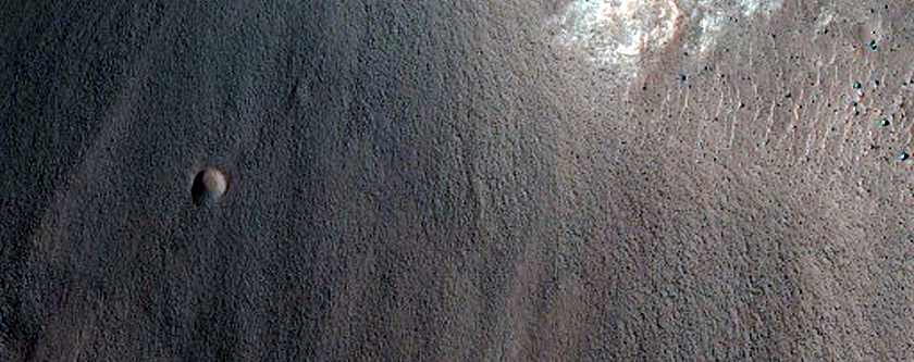 Gully Monitoring