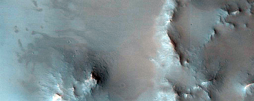 Dune Field