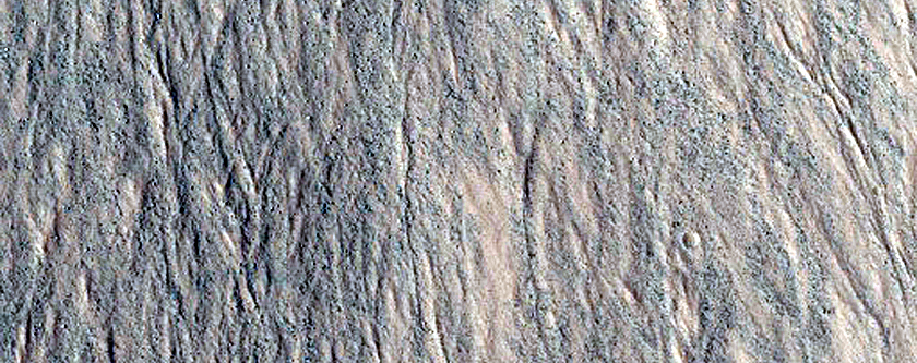 Gully Monitoring
