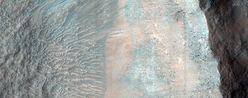 Gully Monitoring