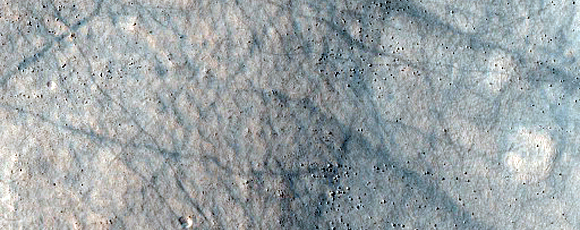 Terrain Sample