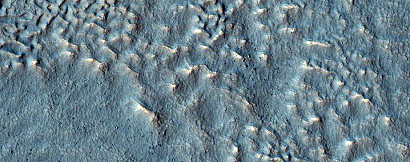 Terrain Sample