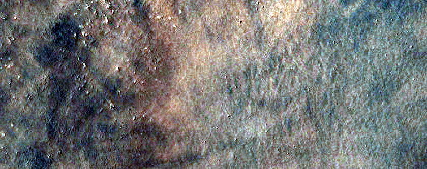 Dune Field