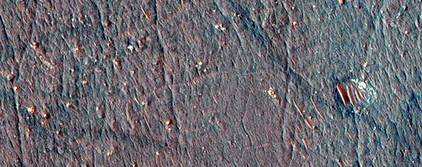 Small Barchan Dunes in Northeast Argyre Region