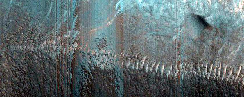 Dune Monitoring in Crater