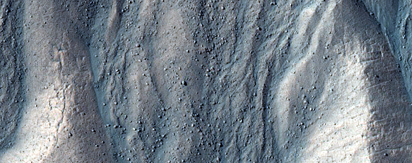 Gully Monitoring