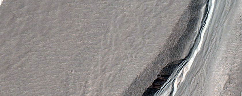 Gully Monitoring