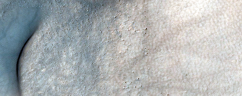 Dune Field