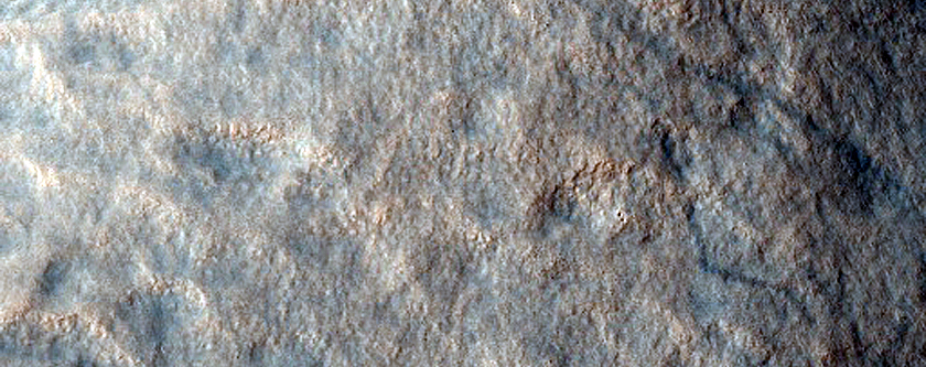 Terrain Sample